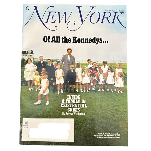 New York Magazine August 25 2025 Of All the Kennedys..Family Existential Crisis - Picture 1 of 1